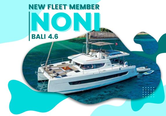 Your Dream Yacht Has Arrived – Discover Noni, Our Brand New Bali 4.6